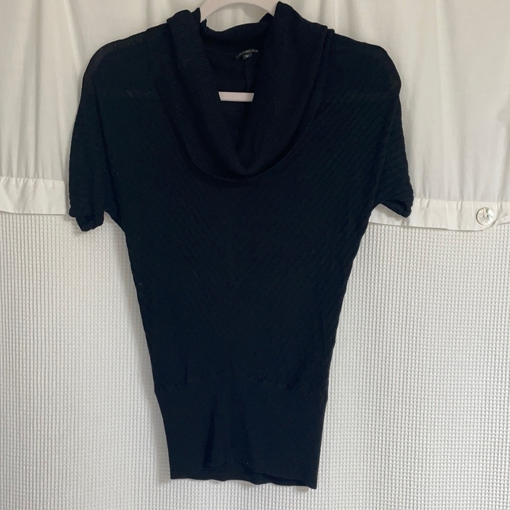 Express fitted sweater top